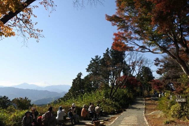 【新卒ブログ】都内の紅葉ももうすぐ見納め・・(山口)