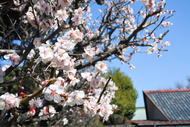 【新卒ブログ】悩んで、泣いて、成長できた1年(山口)