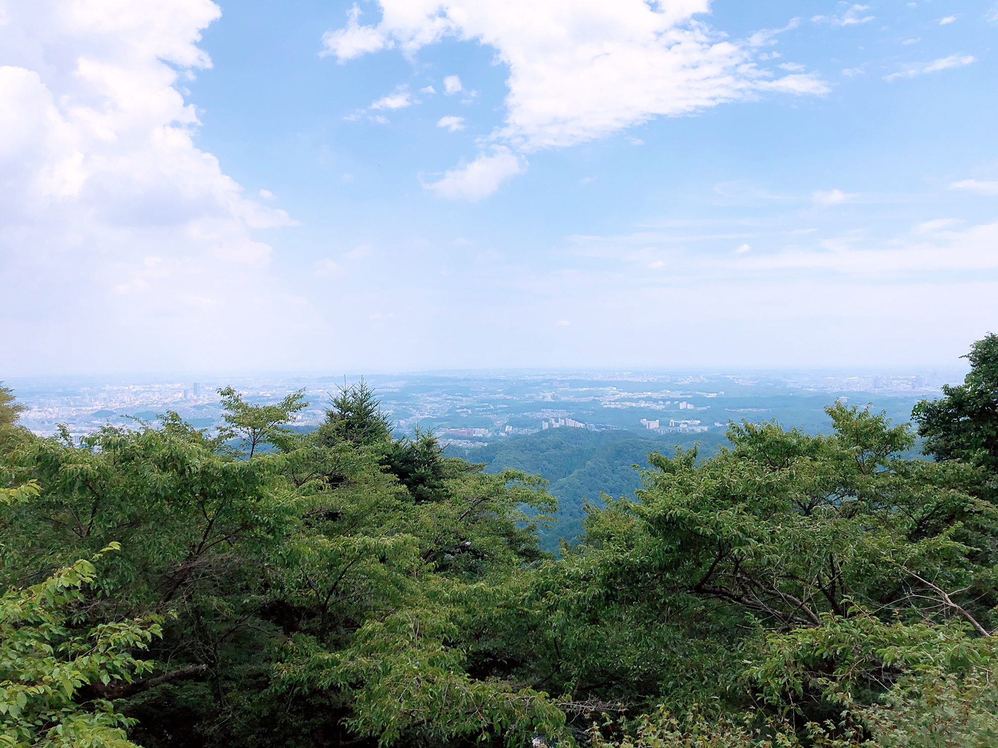 【新卒ブログ】虫が活発ですね・・・(須長)