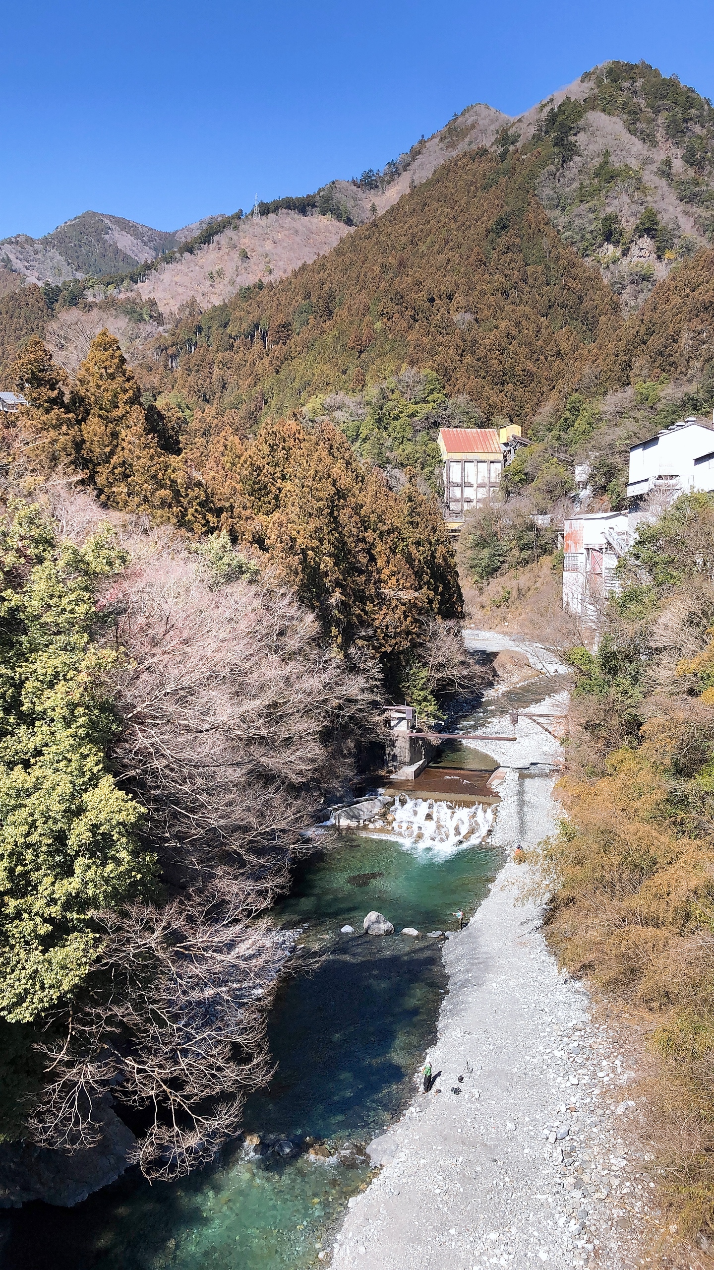 【新卒ブログ】花粉が飛び始めましたね（泣）（須長）