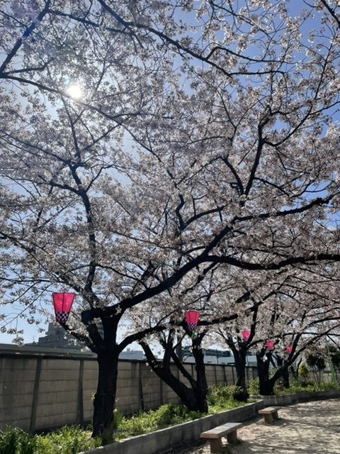 【新卒ブログ】社会人1年目の4月🌸 (清田)