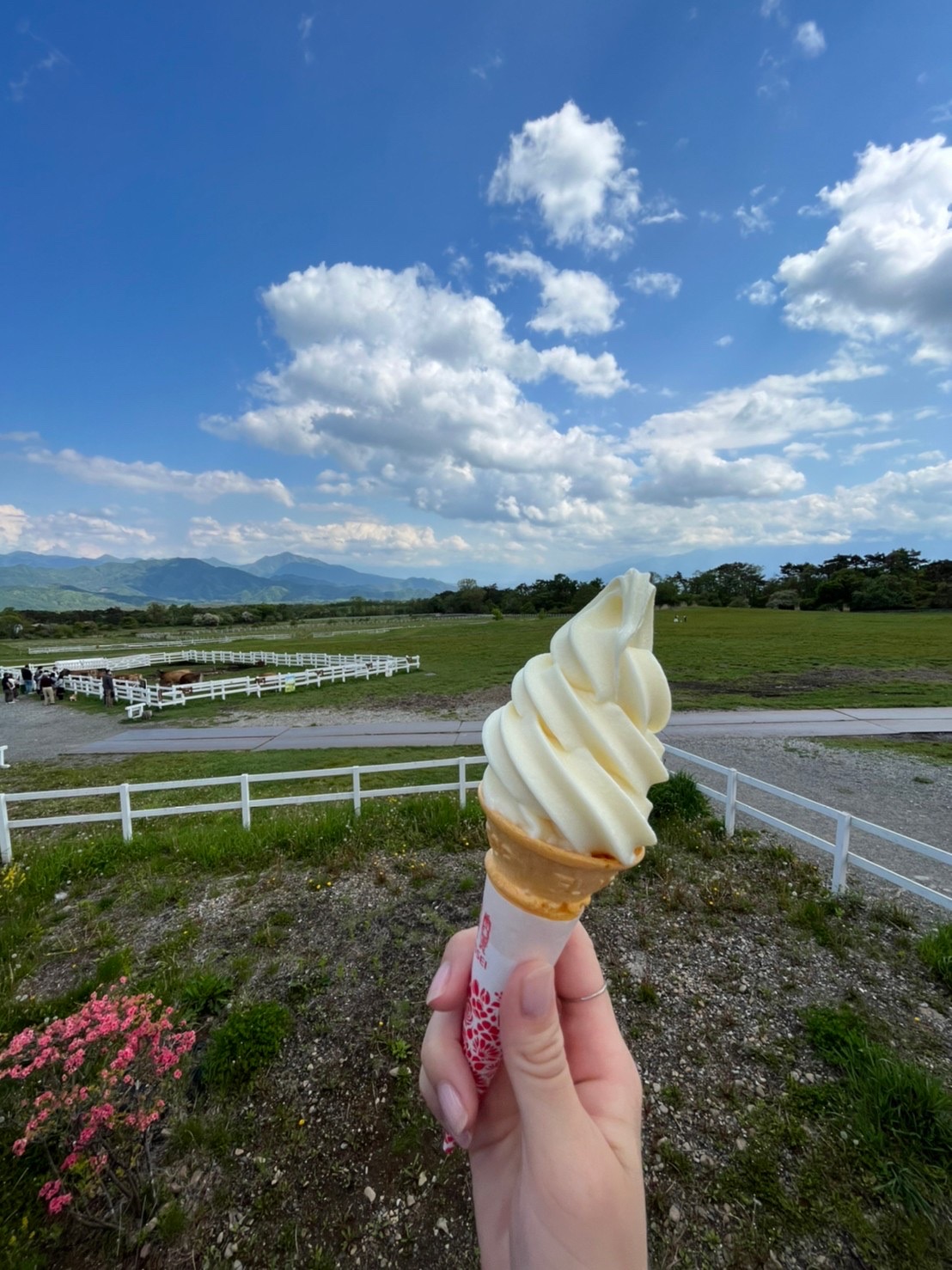 【新卒ブログ】わたしの趣味（勝山）