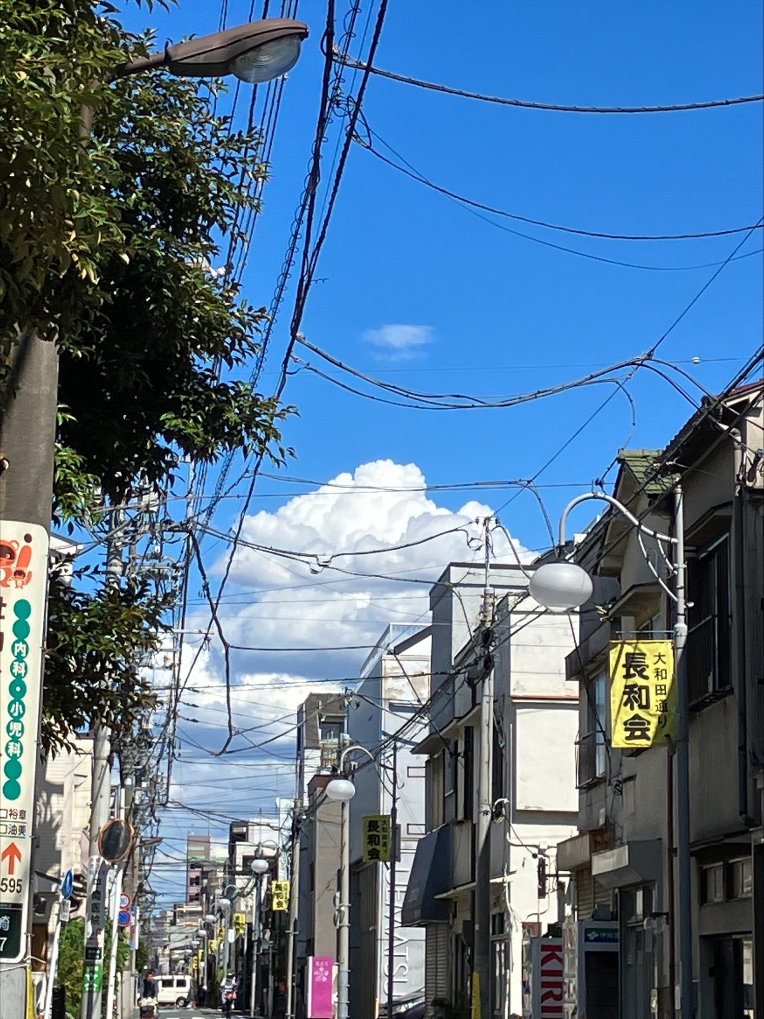 青い空・白い雲
