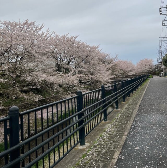 【新卒ブログ】職場環境について(秋場)