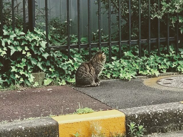 【新卒ブログ】管理者に就任いたしました✨️（小島）