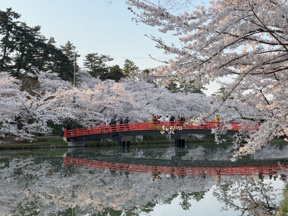【新卒ブログ】素敵な同期に恵まれて(中川)