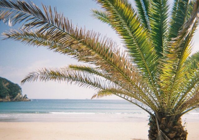 【新卒ブログ】ケアリッツに入社した理由（西山）