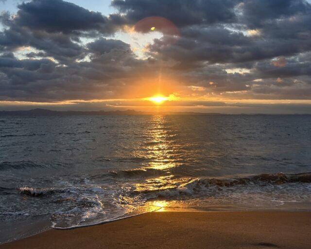 【新卒ブログ】ようこそ、2026年！！（常盤）