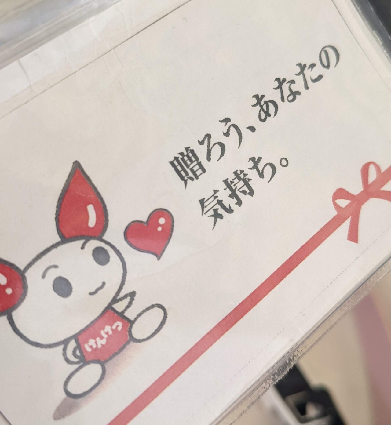 【新卒ブログ】おすすめの献血ルーム2選＆私の同期について（小西）