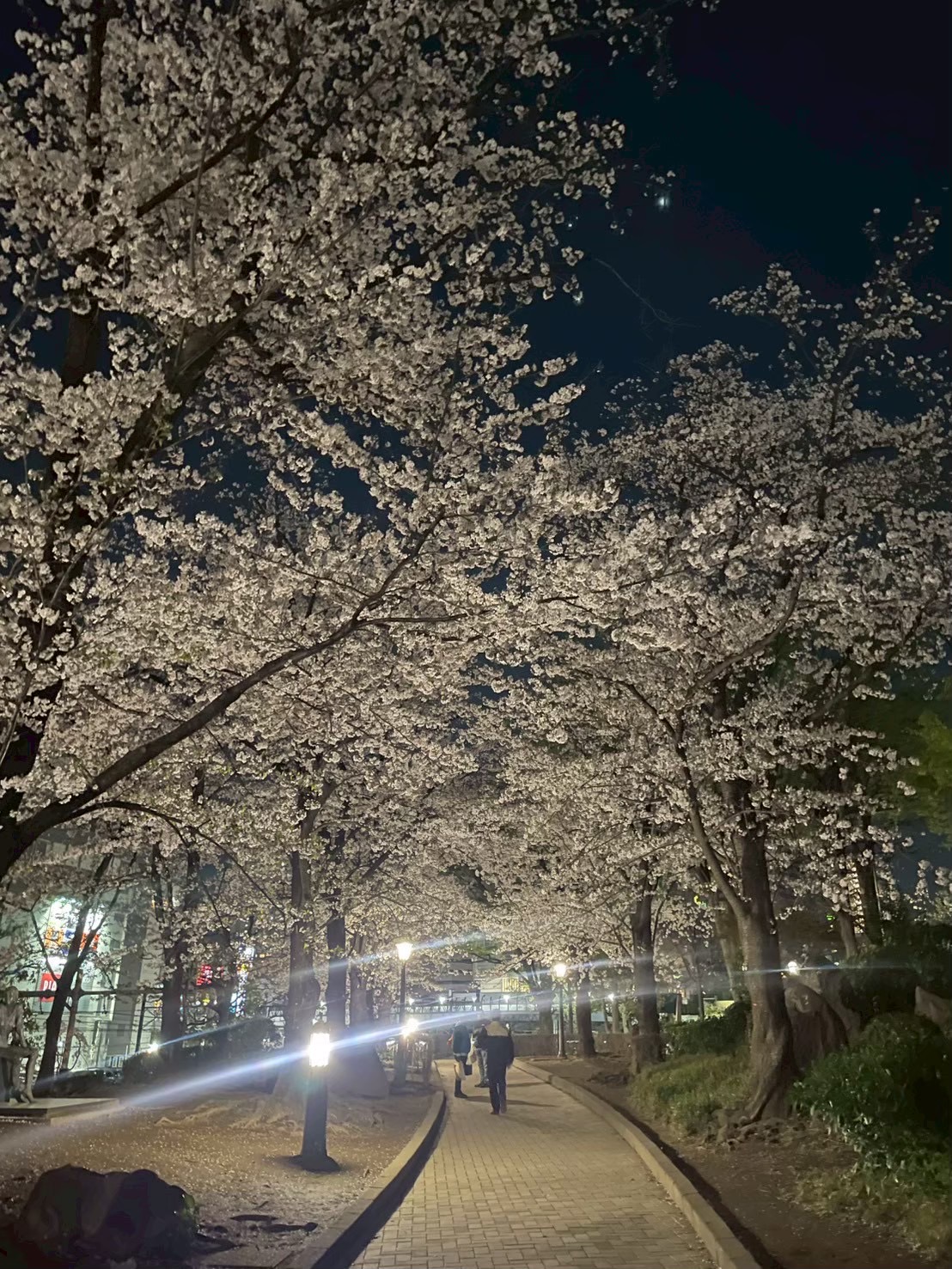 【新卒ブログ】言葉の力(青木)