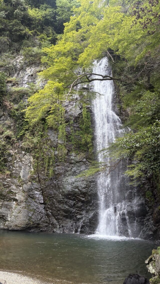 【新卒ブログ】最近楽しいと思うこと(吉川)