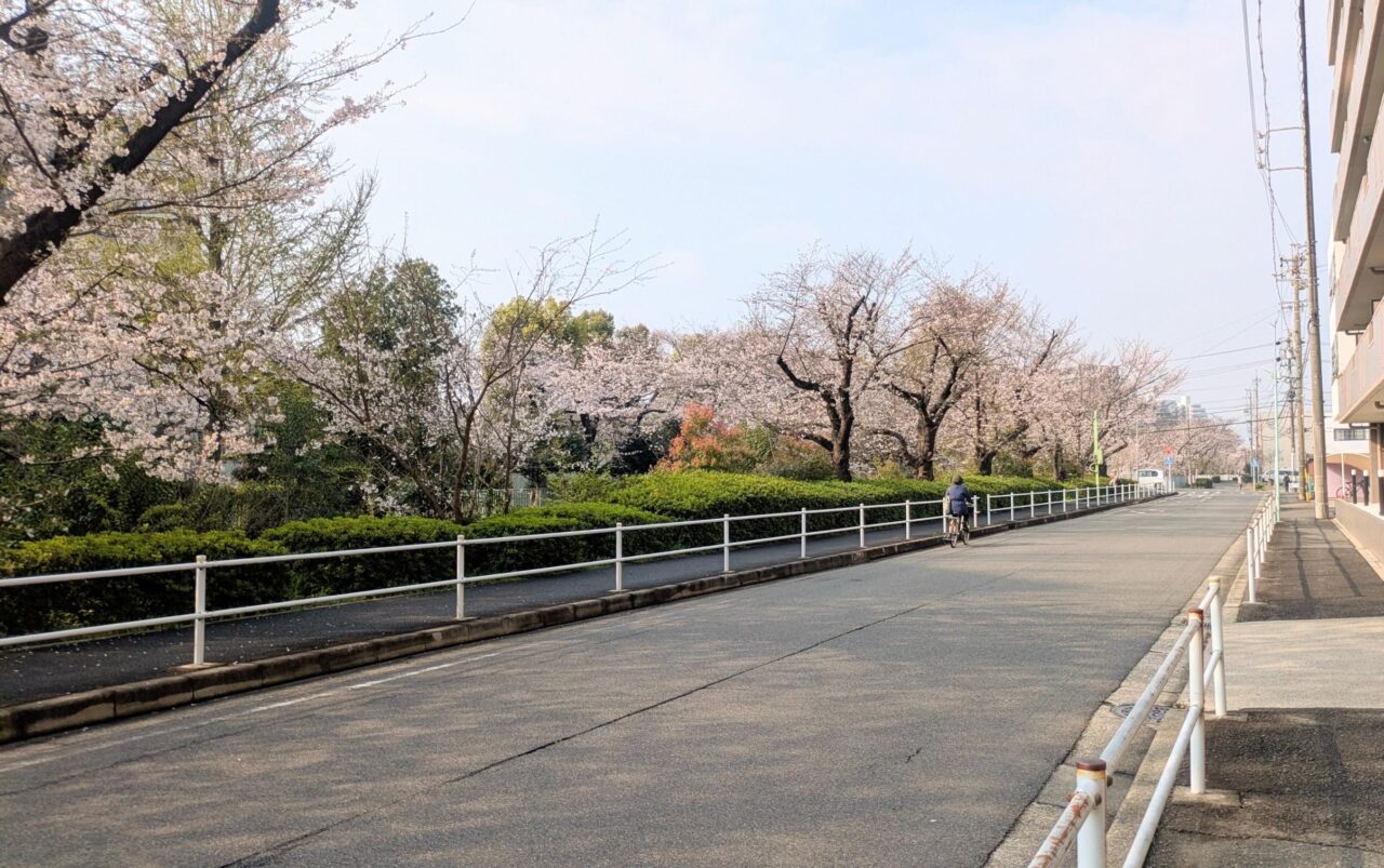 【新卒ブログ】訪問介護あるある（小西）