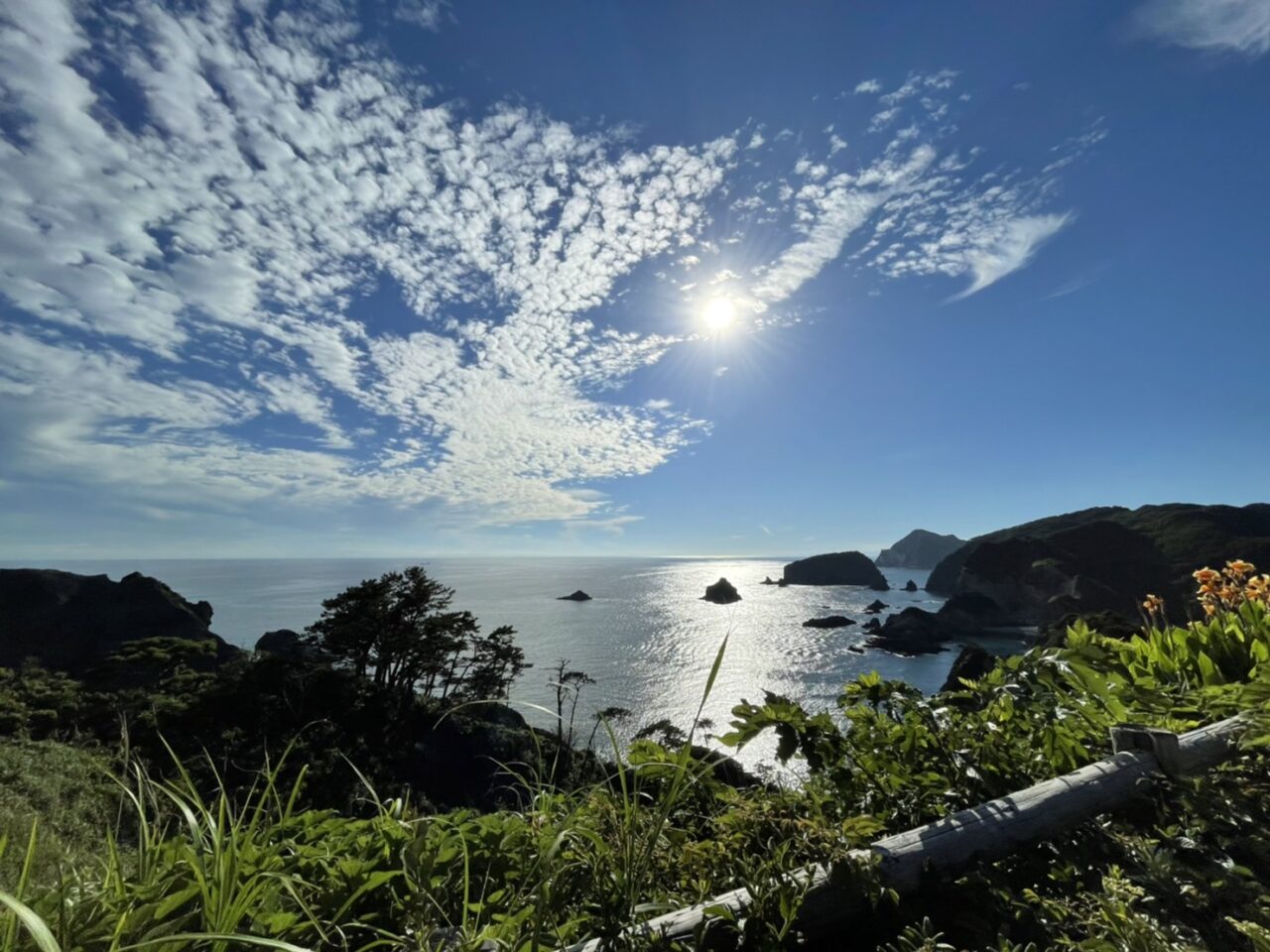 【新卒ブログ】ここ最近の休日の過ごし方(西山)