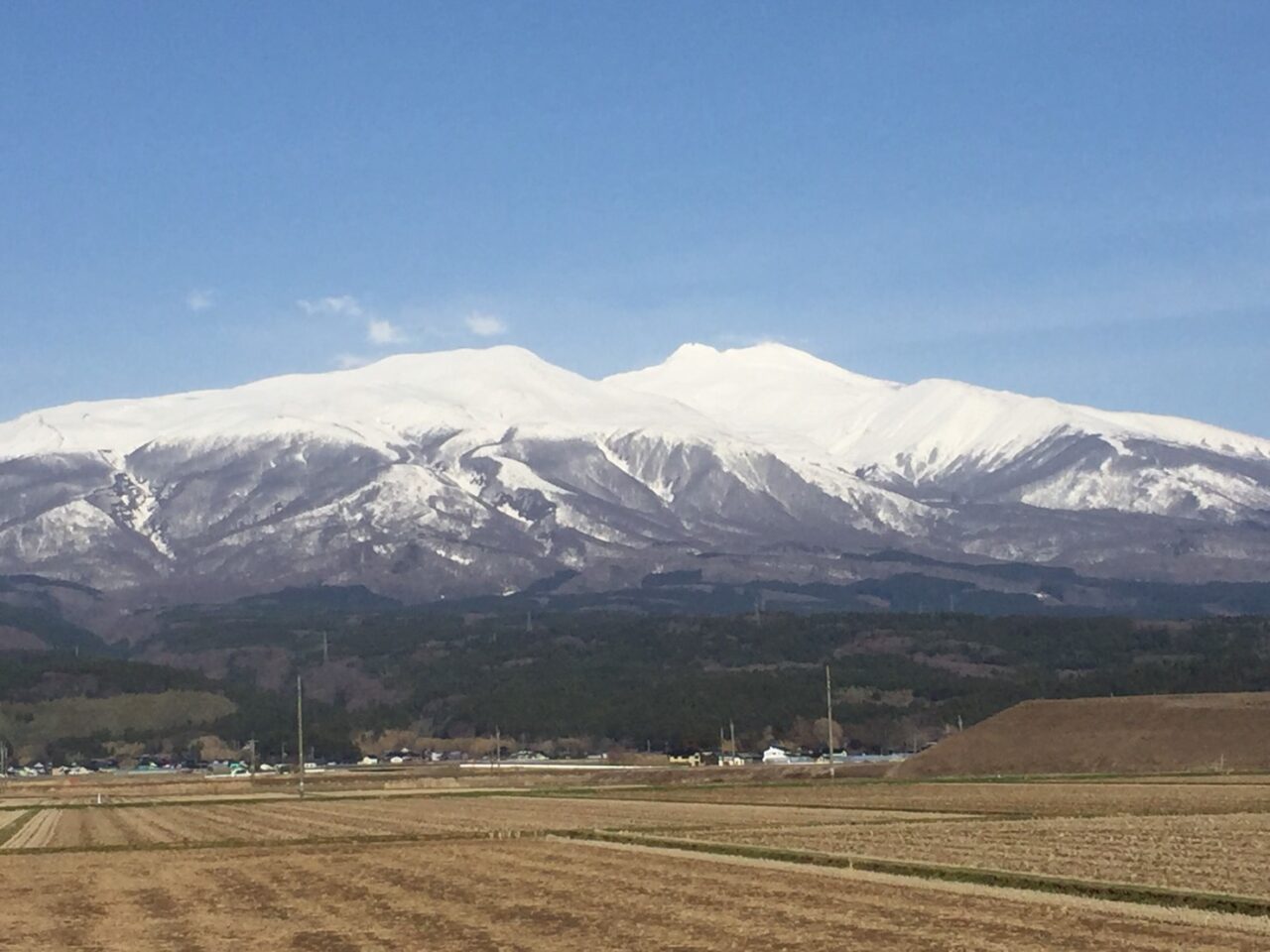 【新卒ブログ】ケアリッツに入社した理由(仲川)