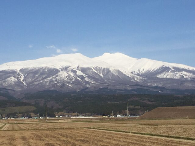【新卒ブログ】ケアリッツに入社した理由（仲川）