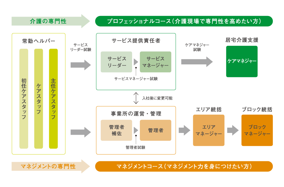 キャリアパス制度